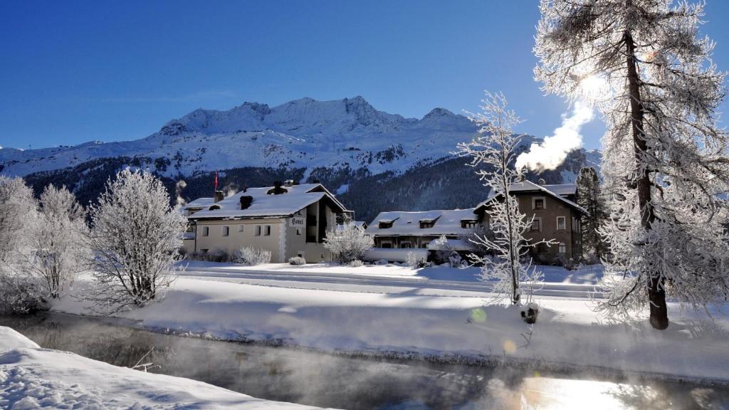 Hotel Chesa Grischa Sils Baselgia المظهر الخارجي الصورة